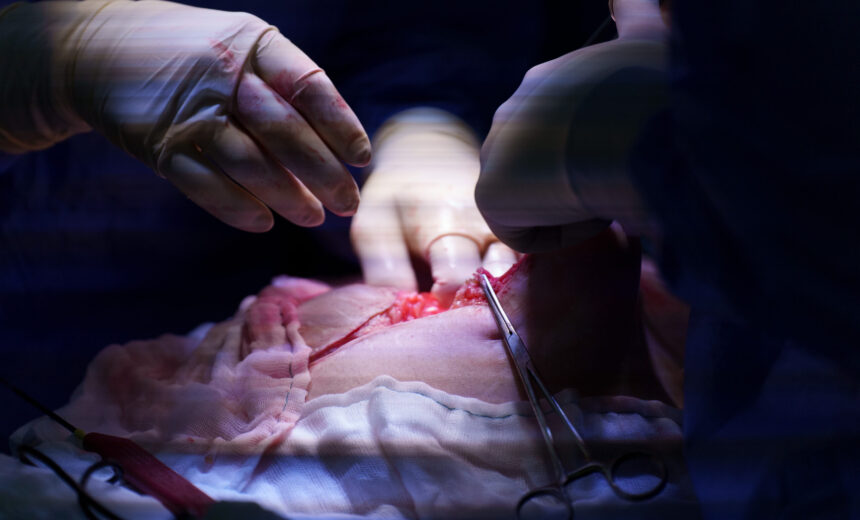 2023.10.05. - Spanci_op_-2406