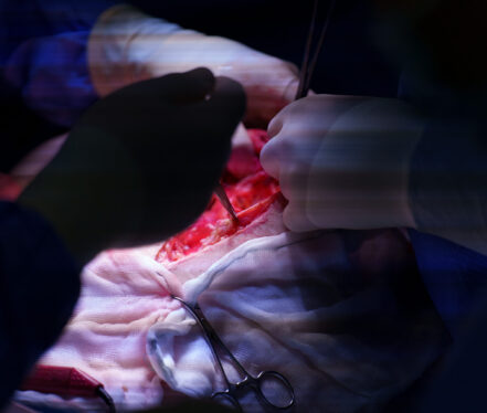 2023.10.05. - Spanci_op_-2408