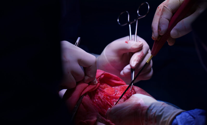 2023.10.05. - Spanci_op_-2441